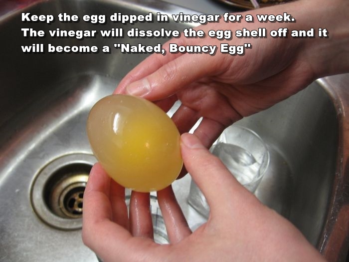 Naked egg